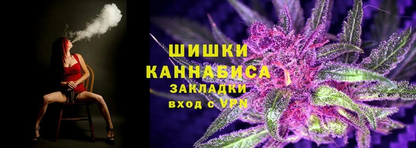 крисы Коряжма