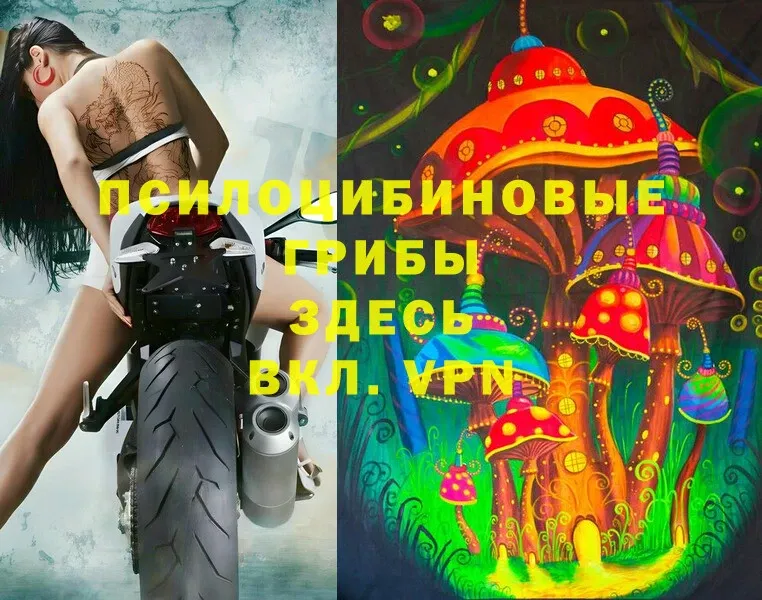 mega tor  Светлоград  Галлюциногенные грибы Magic Shrooms 