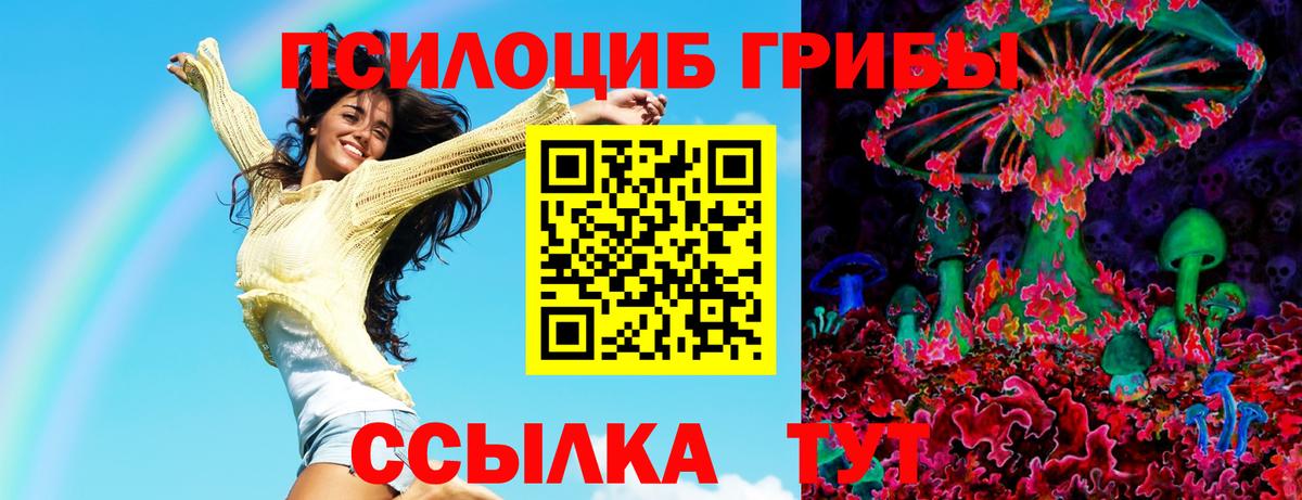 Галлюциногенные грибы мицелий  Вход с VPN  Светлоград  Псилоцибиновые грибы Psilocybe 